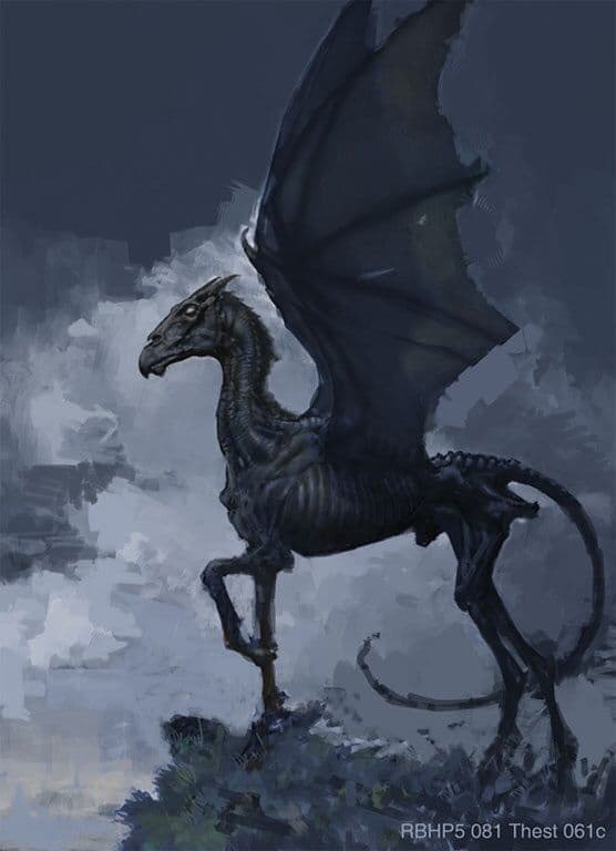 Thestrals