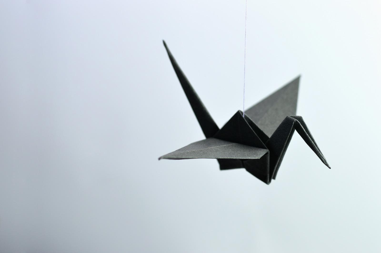 Mestres d'origami