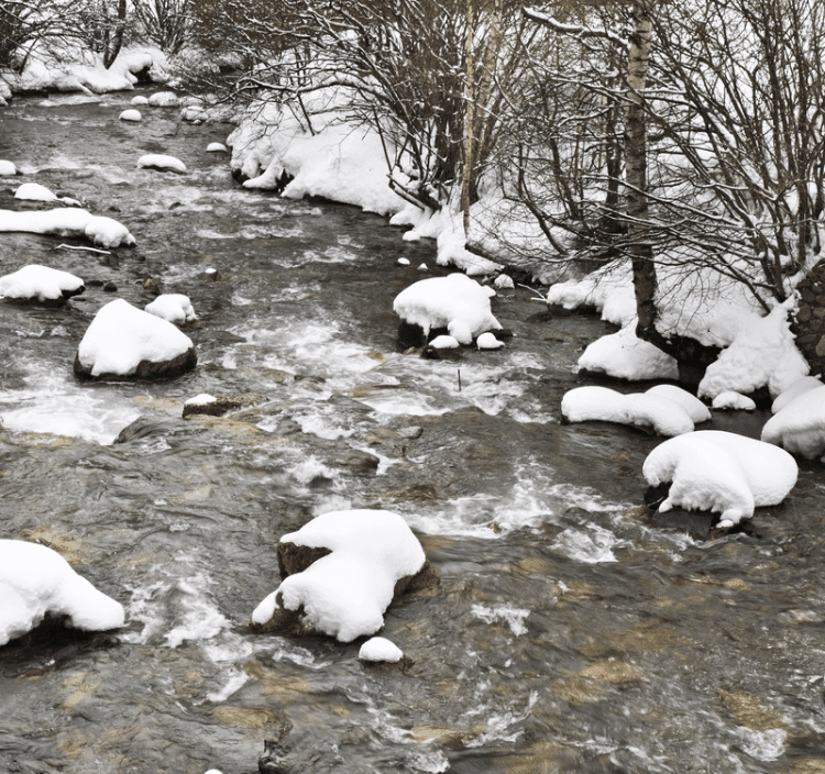 País de neu