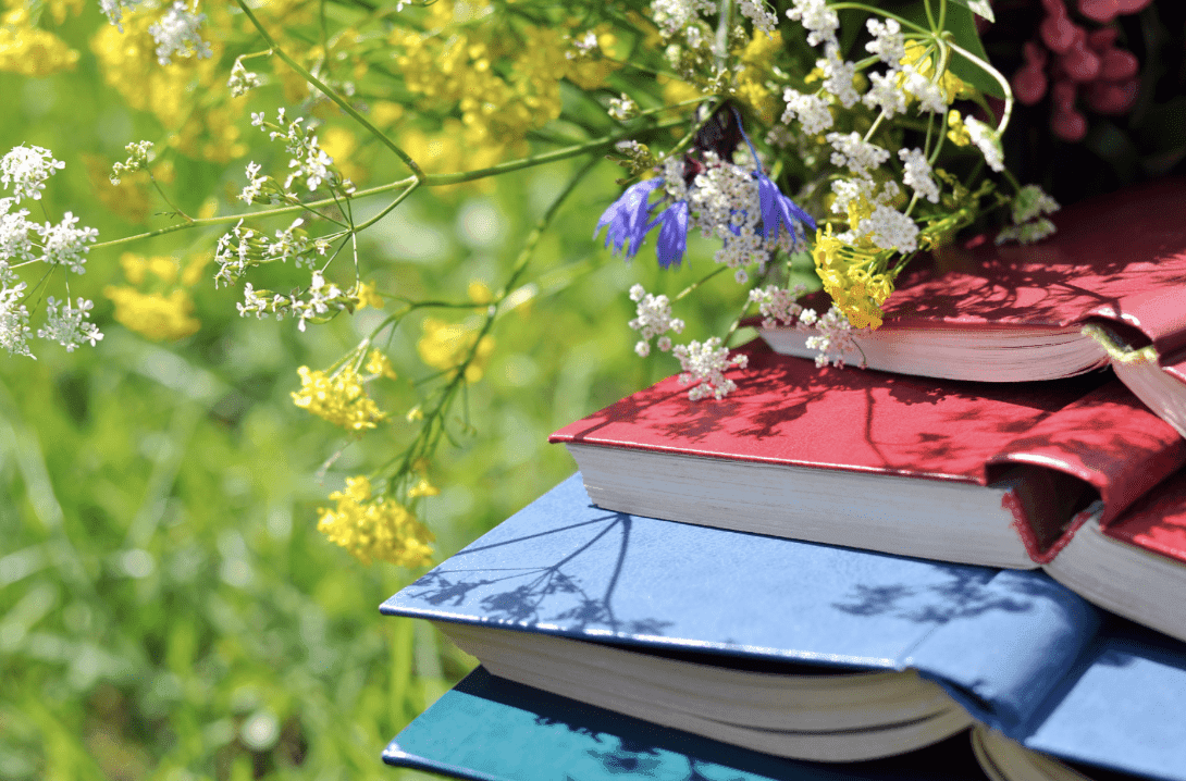 Lectures d'estiu
