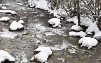 País de neu